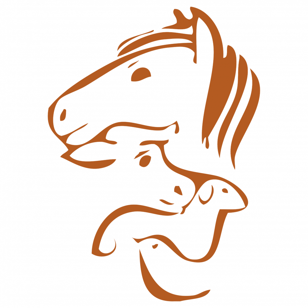 Heimat für Tiere_Logo Startseite